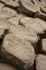 Giants Causeway - Rocks