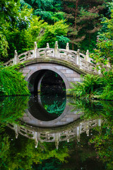 Fototapeta premium Beautiful Japanese garden