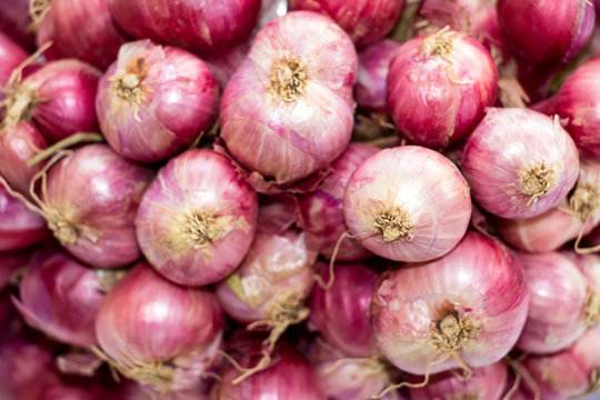 shallot is ingredient of thai food and catchup