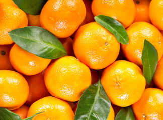 fresh tangerines