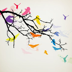 Vector Illustration of a Branch with Birds