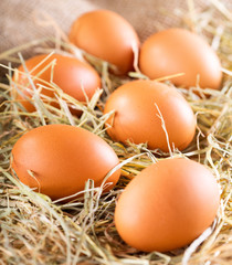 brown eggs