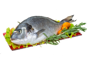 Raw dorado