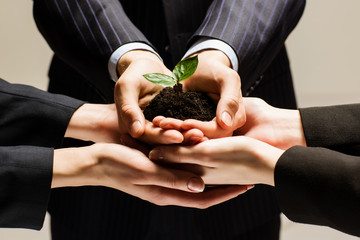 Sprout in hands