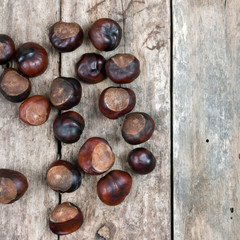 Closeup chestnuts on wooden desk