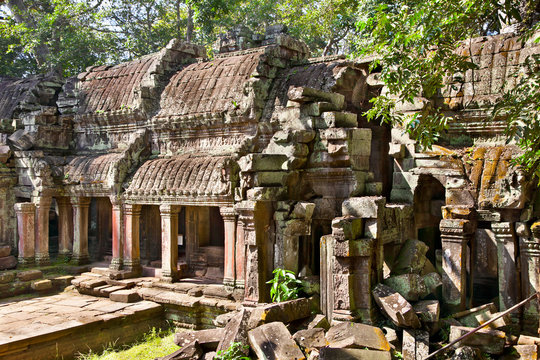 Prasat Ta Prum in Angkor Wat, Cambodia.
