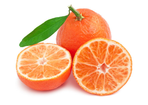 Tangerines © Sailorr