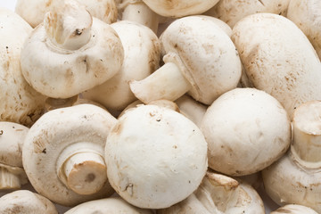 Champignon mushrooms