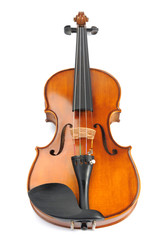 Naklejka na ściany i meble Violin isolate