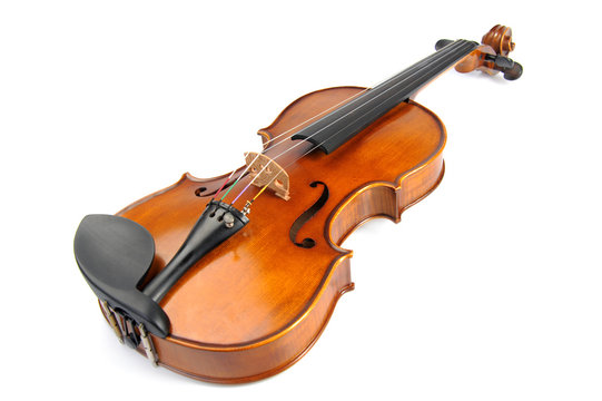 Violin isolate