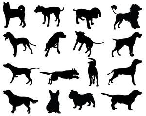 Silhouettes dog breeds, vector