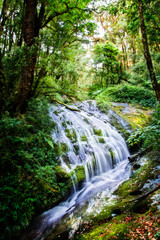 Fototapeta premium Kew Mae Pan