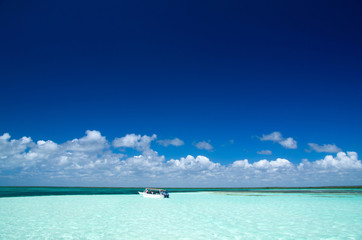 Fototapeta premium tropical sea