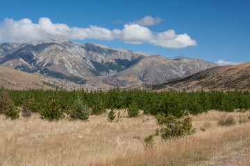 New Zeland Landscape © Rochu_2008