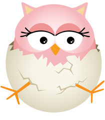 Pink Baby Owl in Egg