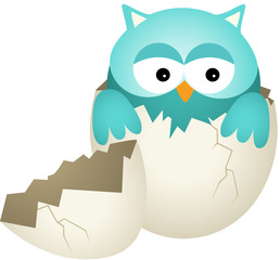 Blue Baby Owl in Egg