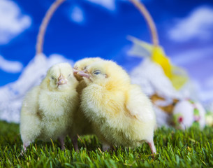 Christmas, Eastern, bunny, rabbit