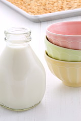 Healthy milk and granola