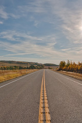 Road in the Alberta Foothills