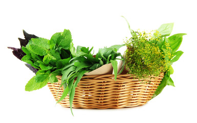 Fototapeta premium Fresh herbs in basket, isolated on white