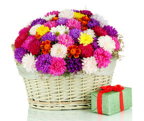 Beautiful bouquet of chrysanthemums in wicker basket isolated