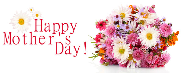 Wildflowers isolated on white