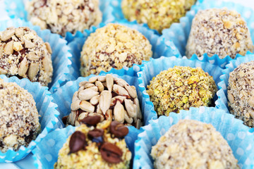 Set of chocolate candies, close up