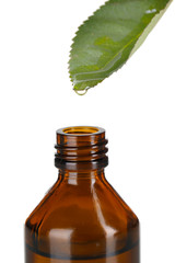 Drop falling from leaf isolated on white