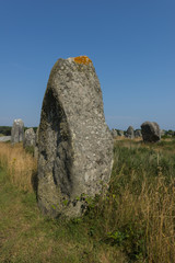 Alignements de Kermario(Menhirs, m&eacute;galithes, pierres lev&eacute;es),