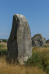 Alignements de Kermario(Menhirs, m&eacute;galithes, pierres lev&eacute;es),