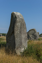 Alignements de Kermario(Menhirs, mégalithes, pierres levées),