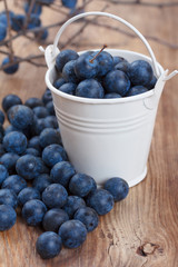 Blackthorn berries on wooden table