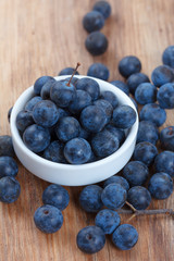 Blackthorn berry (sloe) in a bowl on wooden table