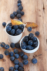 Blackthorn berry (sloe) in bowl and pail on wooden table