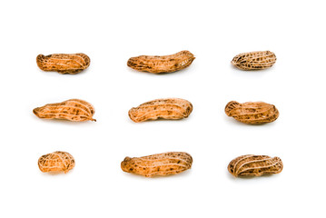 .peanuts