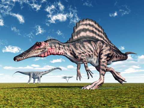 Die Dinosaurier Spinosaurus und Puertasaurus
