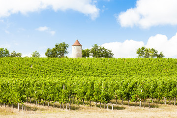vineyard with windmill near Ribagnac, Dordogne Department, Aquit