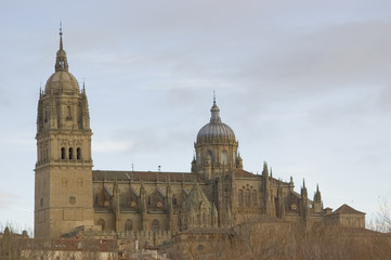 Naklejka premium Catedrales de Salamanca