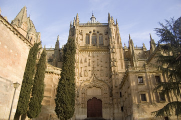 Fototapeta na wymiar Patio Chico Catedral de Salamanca