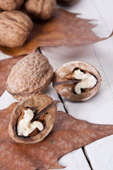 still life of nuts, fruits of autumn