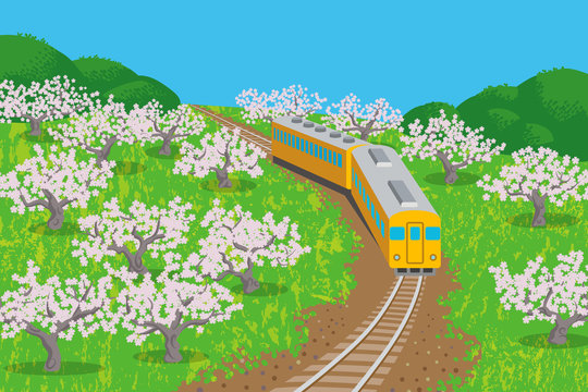 Spring Train