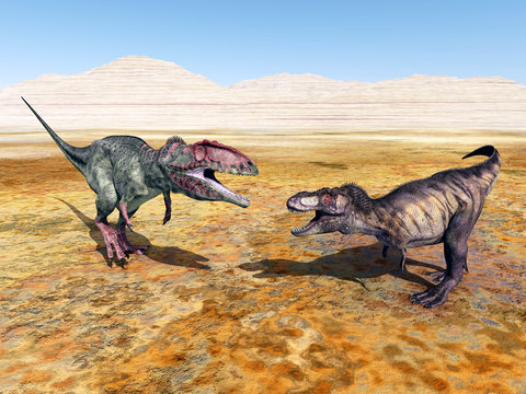 Giganotosaurus and Tyrannosaurus Rex