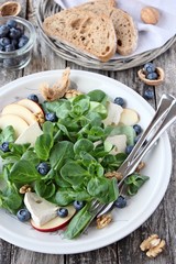 Green salad with blueberry,goates cheese,apple and nuts