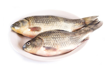 Crucian fish on a plate