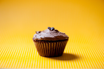 One homemade chocolate cupcake with brown chocolate ice cream