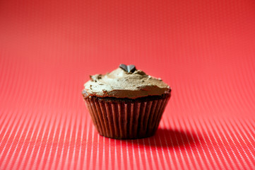 Homemade chocolate cupcake with black chocolate icecream topping