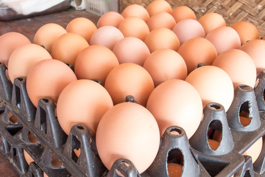 eggs in packate