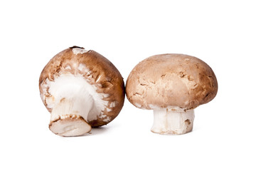 mushrooms and raw mushrooms isolated on white background