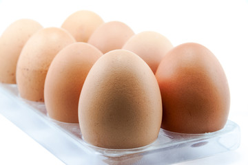 eggs in panel