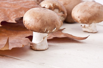 Still life of mushrooms and raw mushrooms